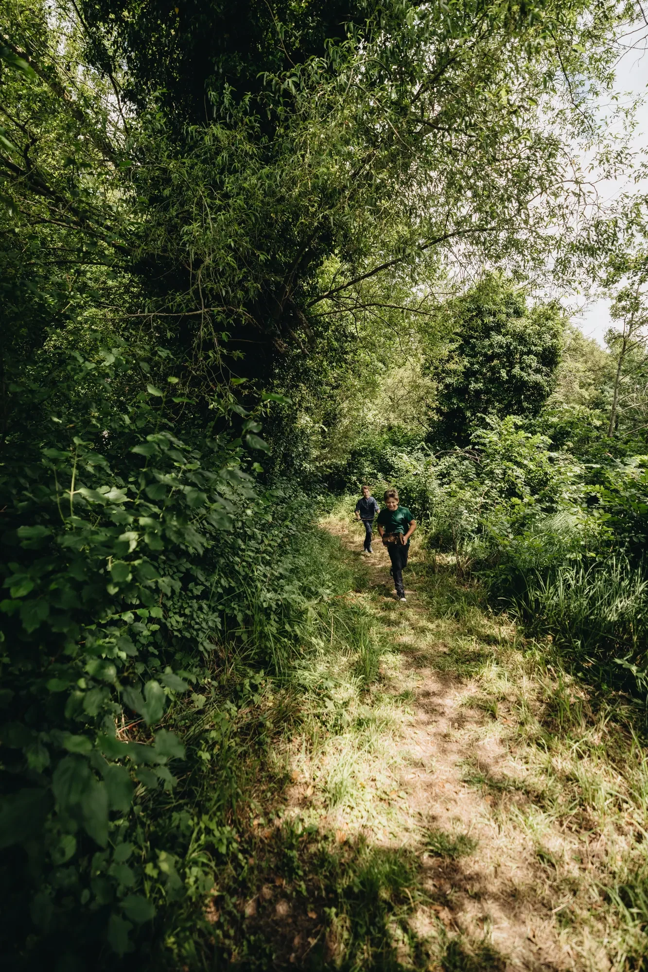 schloss heessen natur