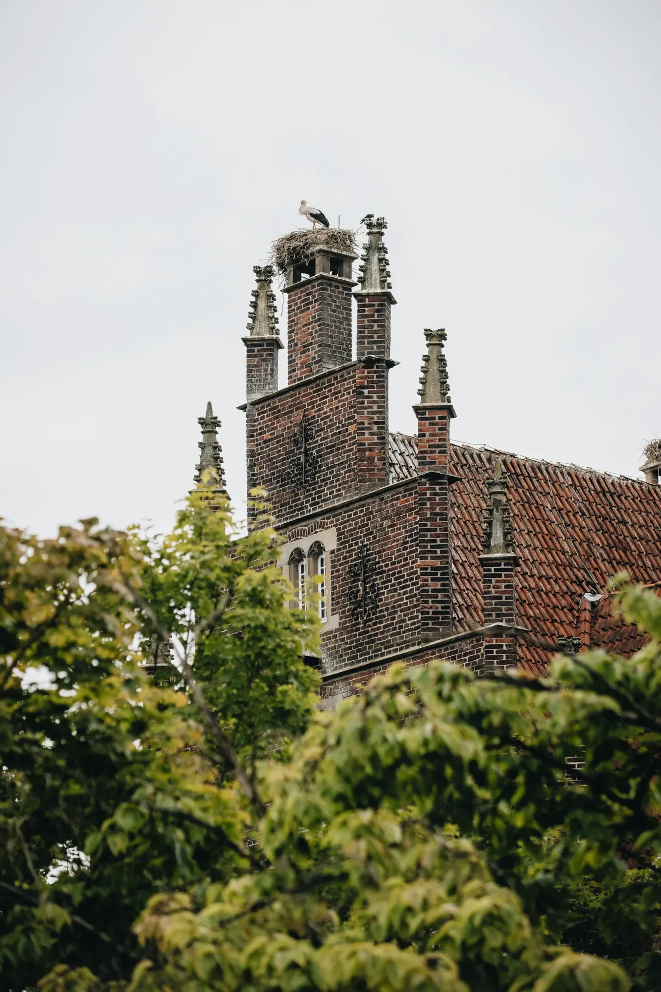 schloss heessen störche auf dem dach